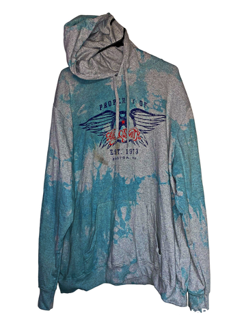 AEROSMITH (HOODIE) [2XL]